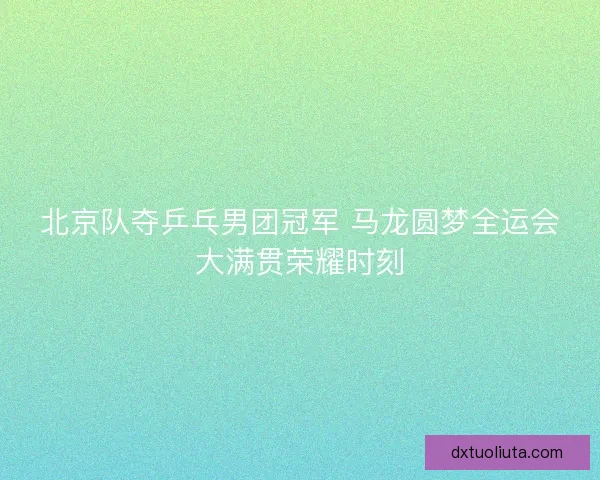 北京队夺乒乓男团冠军 马龙圆梦全运会大满贯荣耀时刻