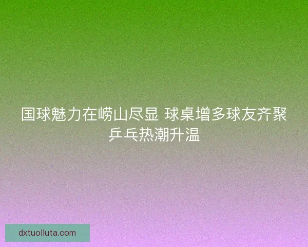 国球魅力在崂山尽显 球桌增多球友齐聚乒乓热潮升温